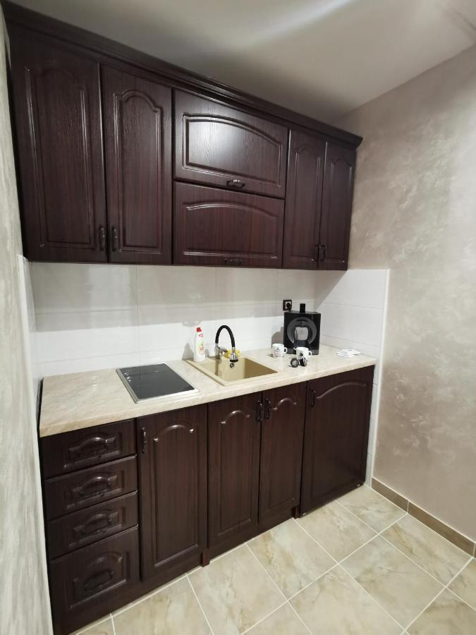 Panorama Apartman Novi Sad Bagian luar foto
